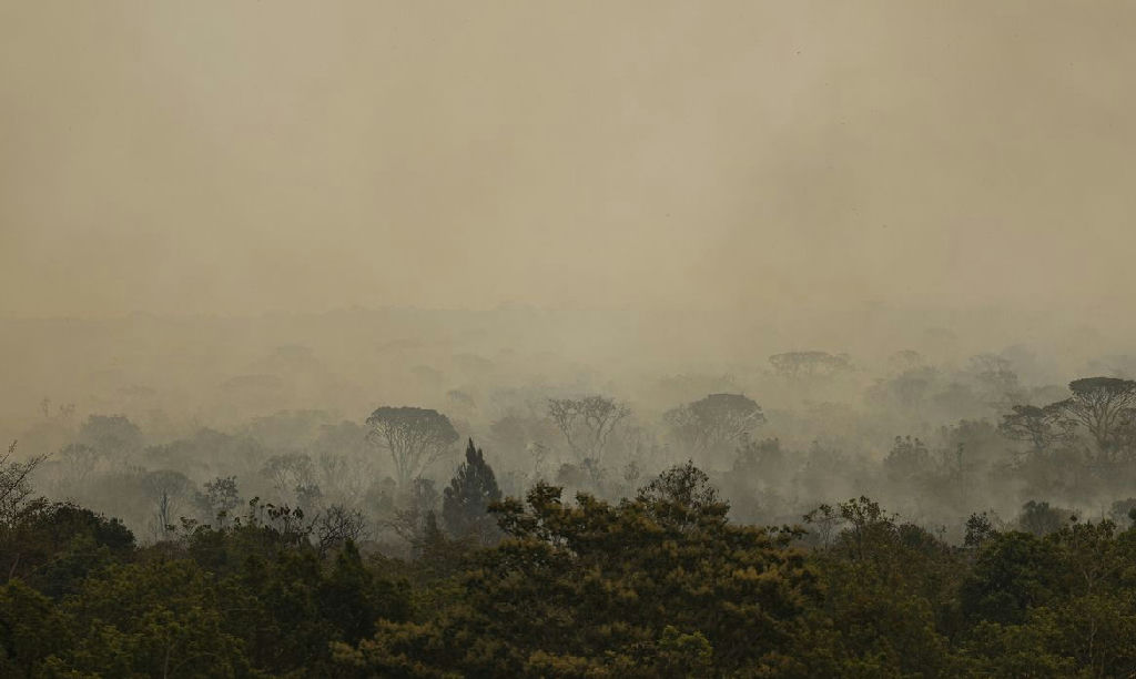 Força Nacional do SUS atua no Amazonas após avanço de incêndios florestais