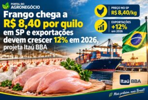 Frango atinge R$ 8,40 por quilo em SP e exportações devem crescer 12% até 2026