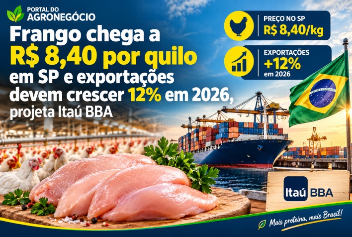 Frango atinge R$ 8,40 por quilo em SP e exportações devem crescer 12% até 2026