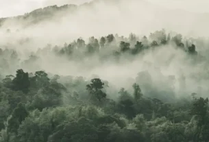 Frente fria traz mudanças bruscas no clima com chuvas e ventos fortes