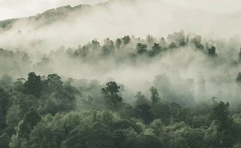 Frente fria traz mudanças bruscas no clima com chuvas e ventos fortes