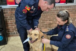 Governo do Estado promove curso para atendimento emergencial de cães que atuam em operações de salvamento e de segurança