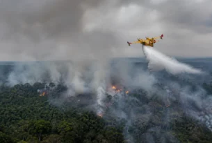 Governo federal mobiliza força-tarefa contra queimadas no Amazonas