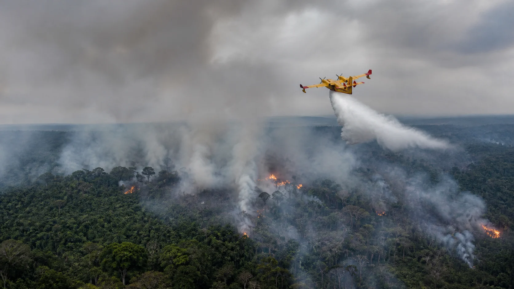 Governo federal mobiliza força-tarefa contra queimadas no Amazonas