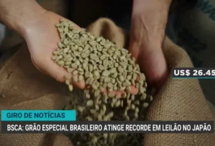 Grão especial brasileiro alcança valor recorde histórico em leilão no Japão