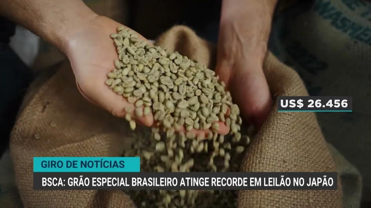 Grão especial brasileiro alcança valor recorde histórico em leilão no Japão