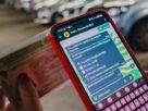 Guria amplia serviços pelo Whatsapp e possibilita ligações para números de emergência diretamente na conversa pelo aplicativo
