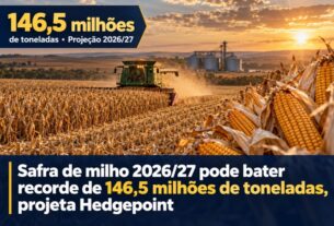 Hedgepoint projeta safra recorde de 146,5 milhões de toneladas de milho para 2026/27