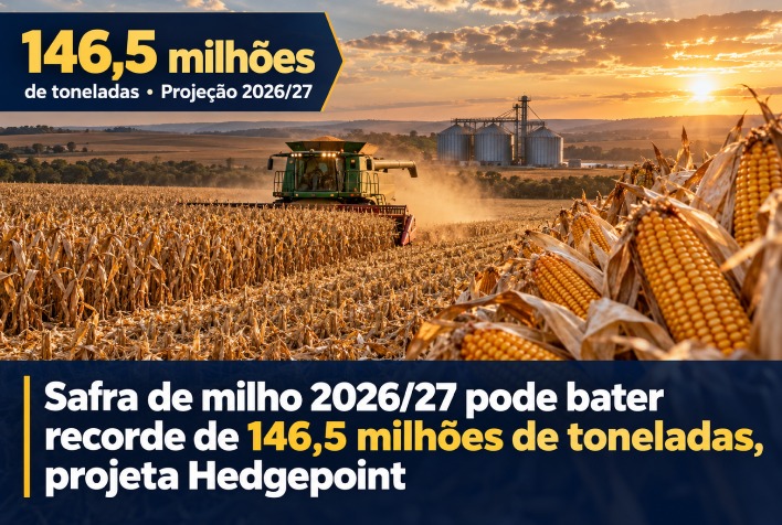 Hedgepoint projeta safra recorde de 146,5 milhões de toneladas de milho para 2026/27