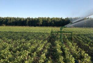 Holding rural exige cautela para evitar autuações fiscais em ITBI e ITCD