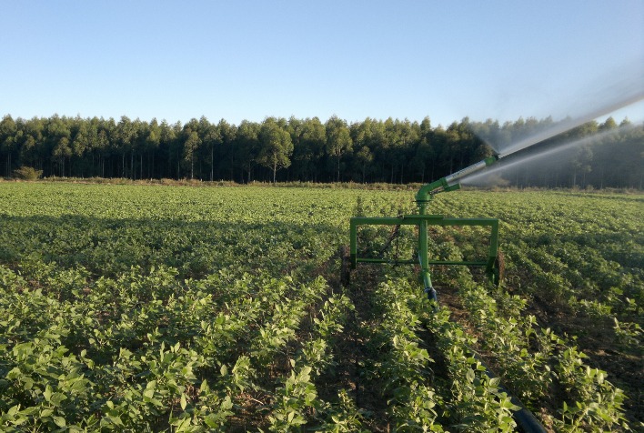 Holding rural exige cautela para evitar autuações fiscais em ITBI e ITCD