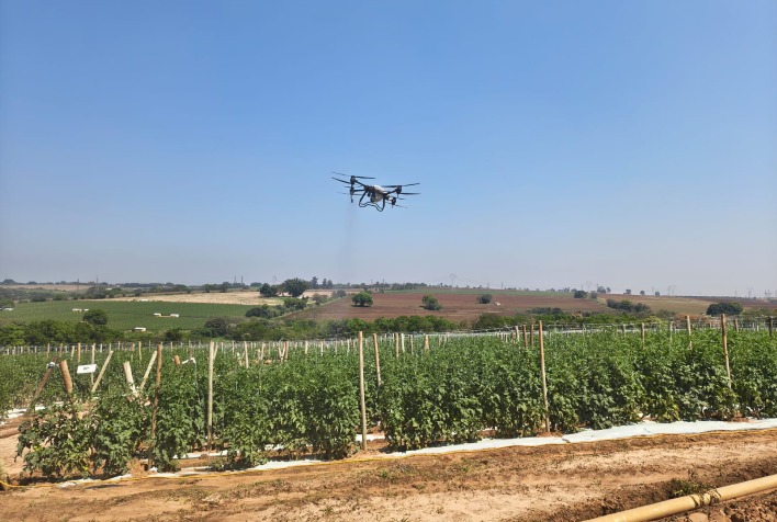 IAC e Irmãos Andrade testam drones para otimizar aplicação de defensivos em tomateiros de Sumaré