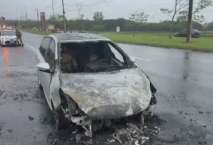 Incêndio destrói veículo na Avenida Assis Brasil em Porto Alegre