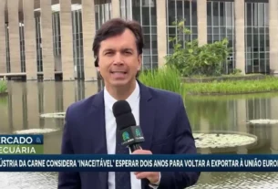 Indústria de carne brasileira reage a prazo de dois anos para exportação à União Europeia