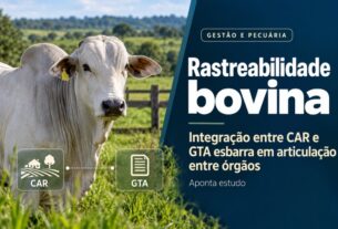 Integração entre CAR e GTA enfrenta gargalos institucionais para rastreabilidade bovina