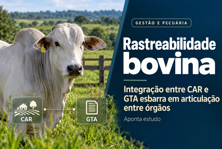 Integração entre CAR e GTA enfrenta gargalos institucionais para rastreabilidade bovina