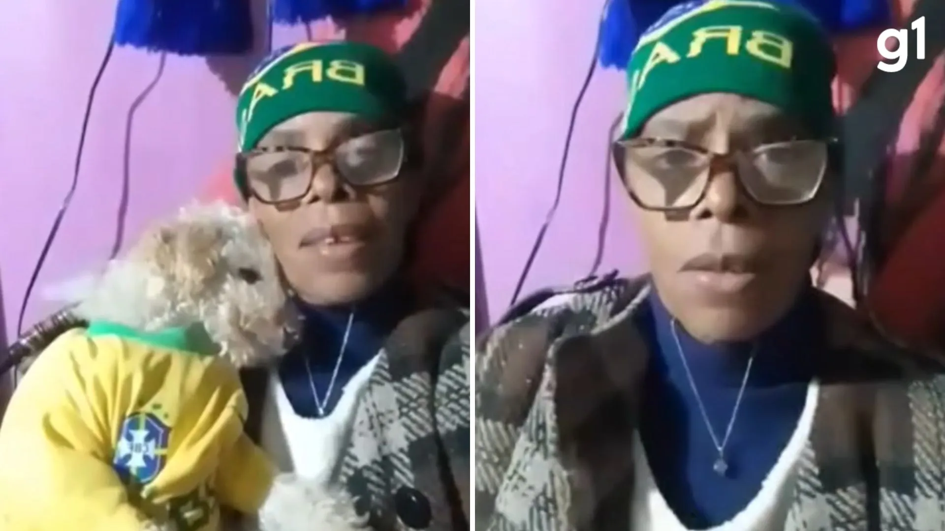Investigação contra vereadora que admitiu agressão a cadela em vídeo é arquivada no RS