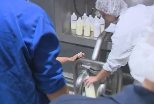 Justiça condena 15 por adulteração de leite com soda cáustica no RS