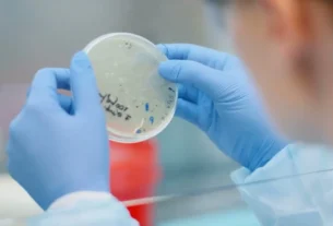 Mercado de bioinsumos projeta crescimento de até 10% em volume para 2026
