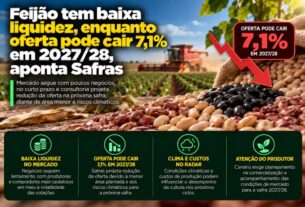 Mercado de feijão enfrenta baixa liquidez e alerta para queda de 7,1% na oferta em 2027/28