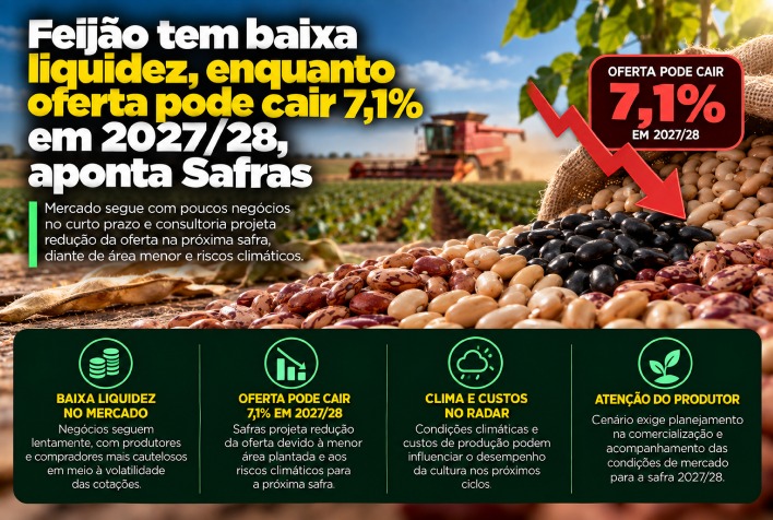 Mercado de feijão enfrenta baixa liquidez e alerta para queda de 7,1% na oferta em 2027/28