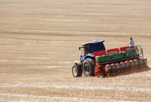 Mercado de soja mantém ritmo lento com impasse entre produtores e compradores