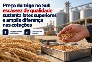 Mercado do trigo no sul tem preços firmes para lotes de alta qualidade