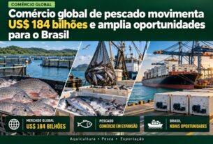 Mercado mundial de pescado movimenta US$ 184 bilhões e abre espaço para exportações do Brasil