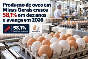 Minas Gerais amplia produção de ovos em 58,1% ao longo de dez anos e avança em 2026