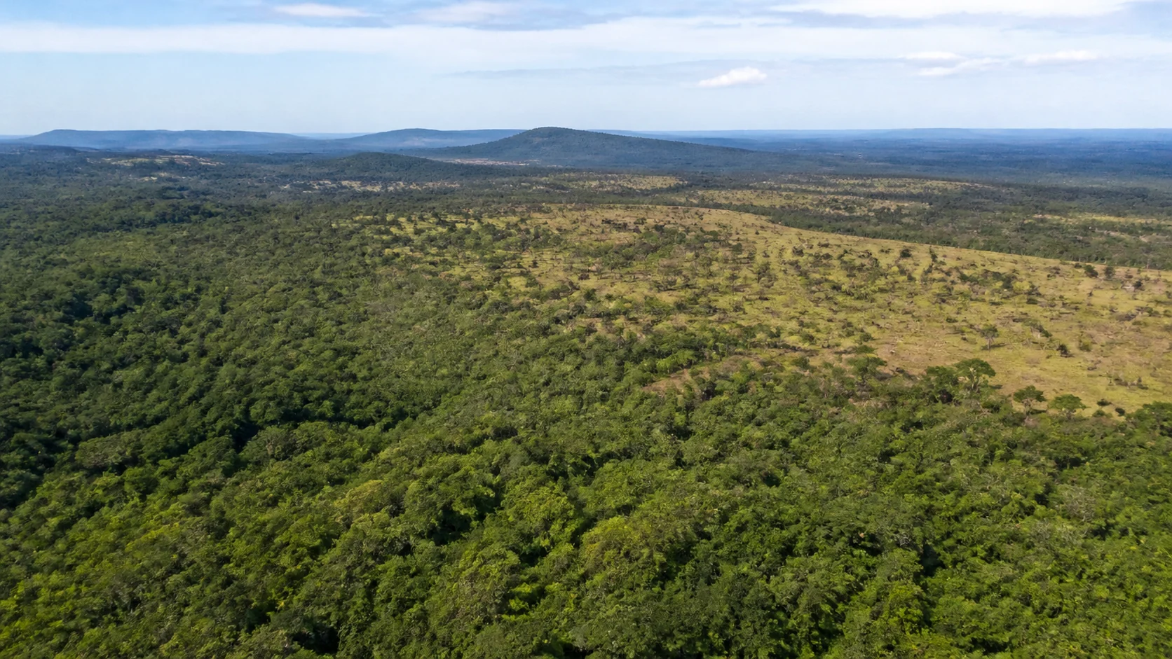 Ministério do Meio Ambiente aponta que queda no desmatamento evitou emissões do Japão