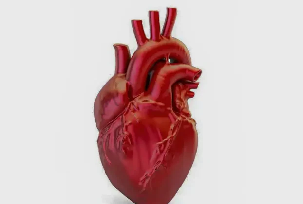 Mortes por doenças cardiovasculares no Brasil: uma a cada 72 segundos