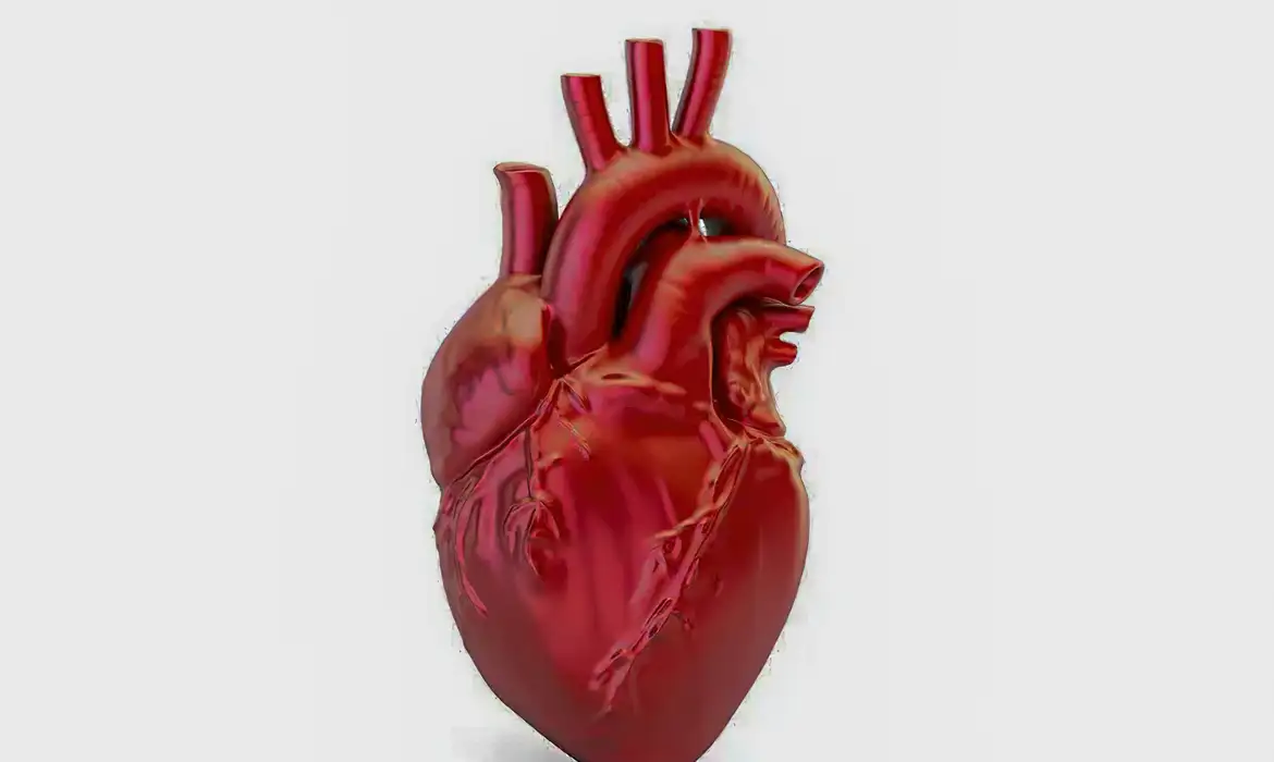 Mortes por doenças cardiovasculares no Brasil: uma a cada 72 segundos