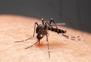 Mudanças climáticas aceleram avanço de doenças infecciosas no Brasil