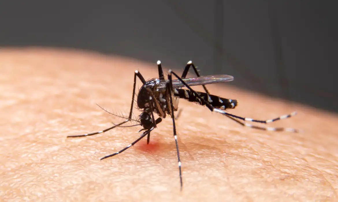 Mudanças climáticas aceleram avanço de doenças infecciosas no Brasil