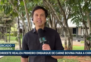 Nordeste realiza primeiro embarque de carne bovina para a china