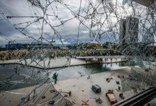 O papel das Forças Armadas na democracia brasileira sob o crivo da história