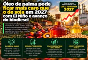 Óleo de palma pode superar preço do óleo de soja em 2027