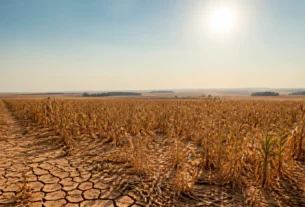 Onda de calor eleva temperaturas na Bahia com marcas de até 36 °C