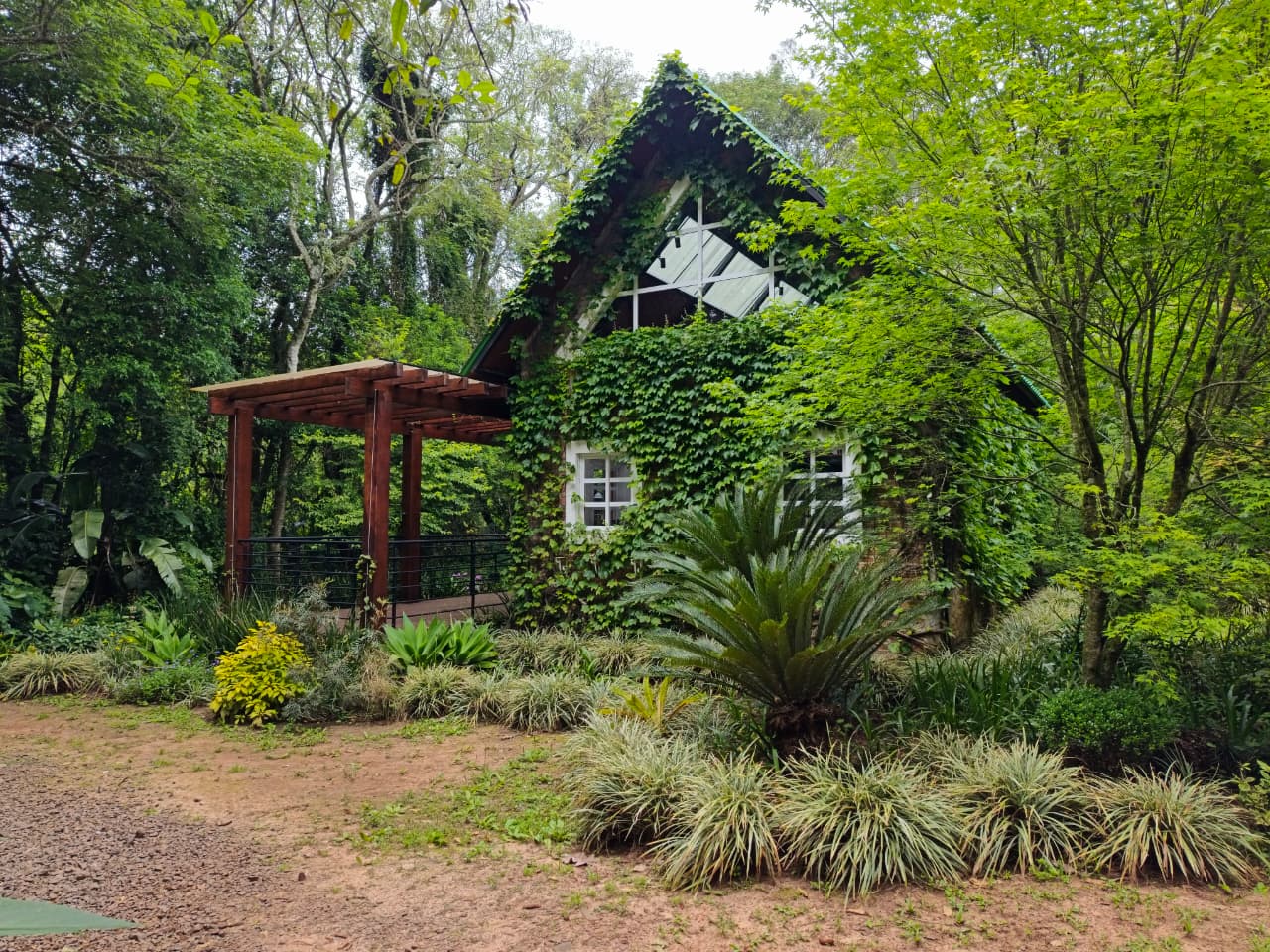 Parque Witeck ganha biblioteca em meio à área de preservação em Novo Cabrais