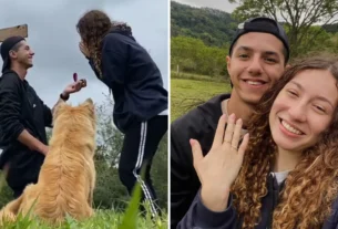 Pet interrompe pedido de casamento em sítio e Vídeo ganha a rede