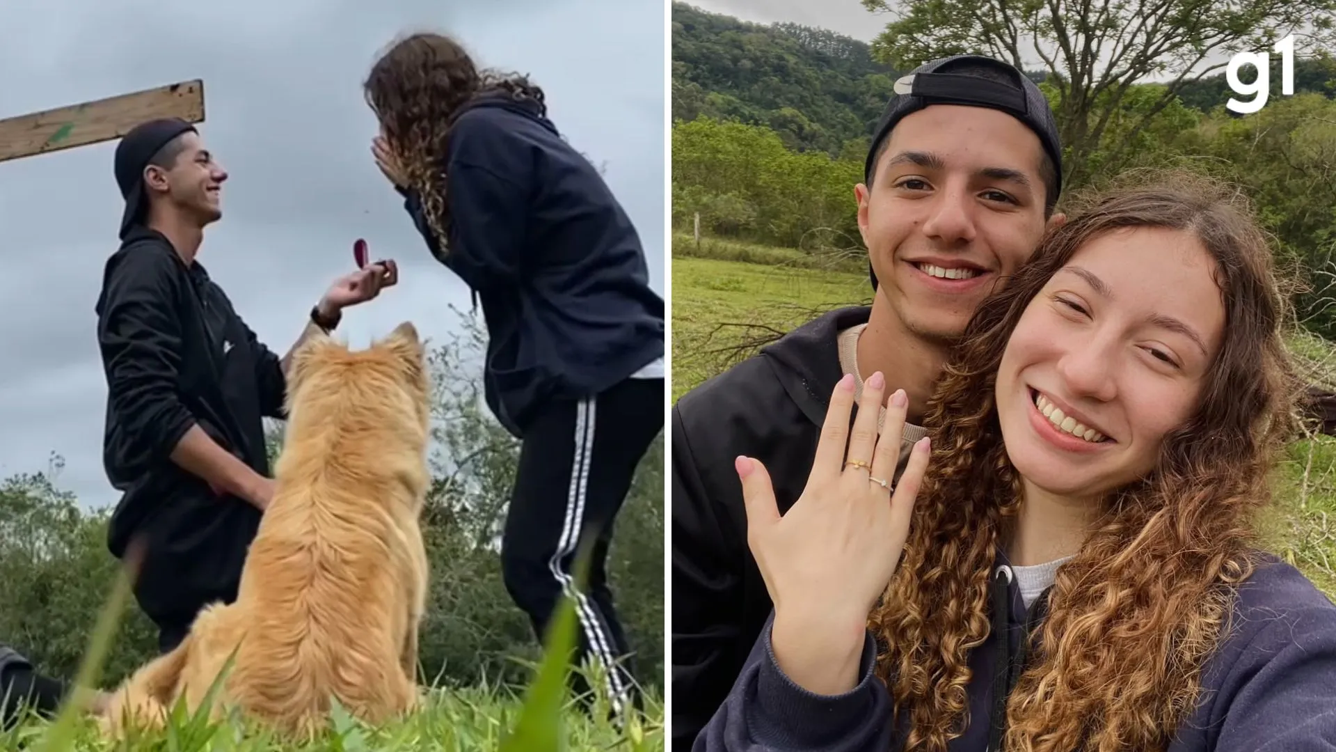 Pet interrompe pedido de casamento em sítio e Vídeo ganha a rede