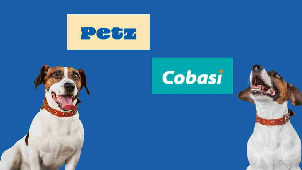 Petz Cobasi (AUAU3) aprova programa de recompra de ações e impacta acionistas