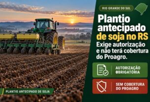 Plantio antecipado de soja no RS requer autorização e fica sem Proagro