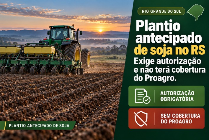 Plantio antecipado de soja no RS requer autorização e fica sem Proagro