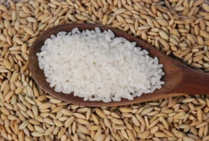 Preço do arroz para exportação atinge R$ 90 por saca no RS