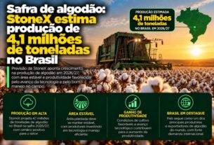 Produção de algodão no Brasil deve atingir 4,1 milhões de toneladas, aponta Stonex