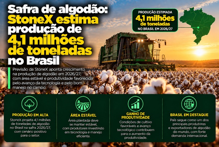 Produção de algodão no Brasil deve atingir 4,1 milhões de toneladas, aponta Stonex