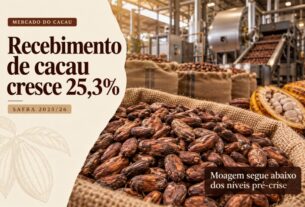 Produção de cacau no Brasil avança 25,3% na safra 2025/26