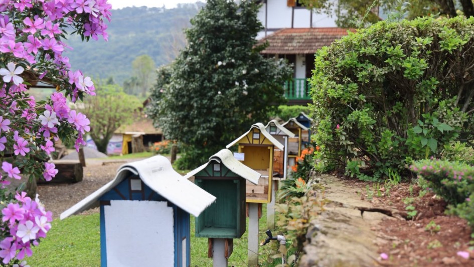Programa inédito do governo do Estado investe R$ 12 milhões para impulsionar o turismo rural na agricultura familiar
