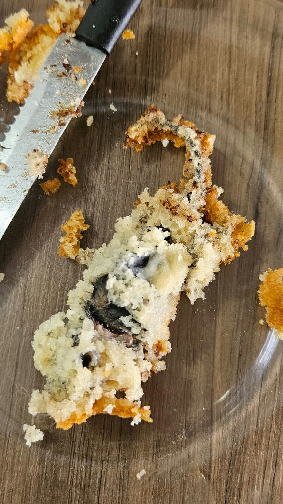 Proprietária de confeitaria onde rato foi achado em bolo ganha liberdade provisória